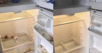 Уборка кухни и санузла в квартире
