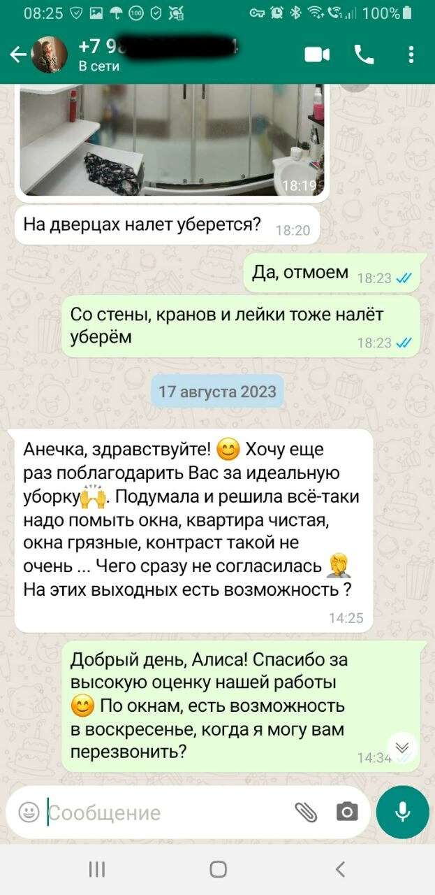 Переписка с Алисой в WhatsApp об уборке ванной и окон