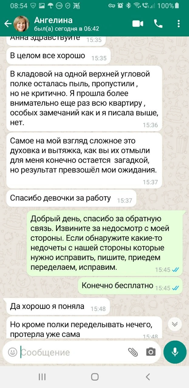 Отзыв Ангелины в WhatsApp: духовка и вытяжка отмыты лучше, чем ожидала